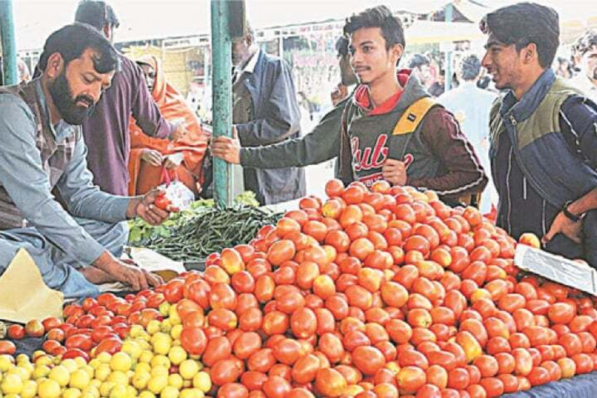 Tomato prices
