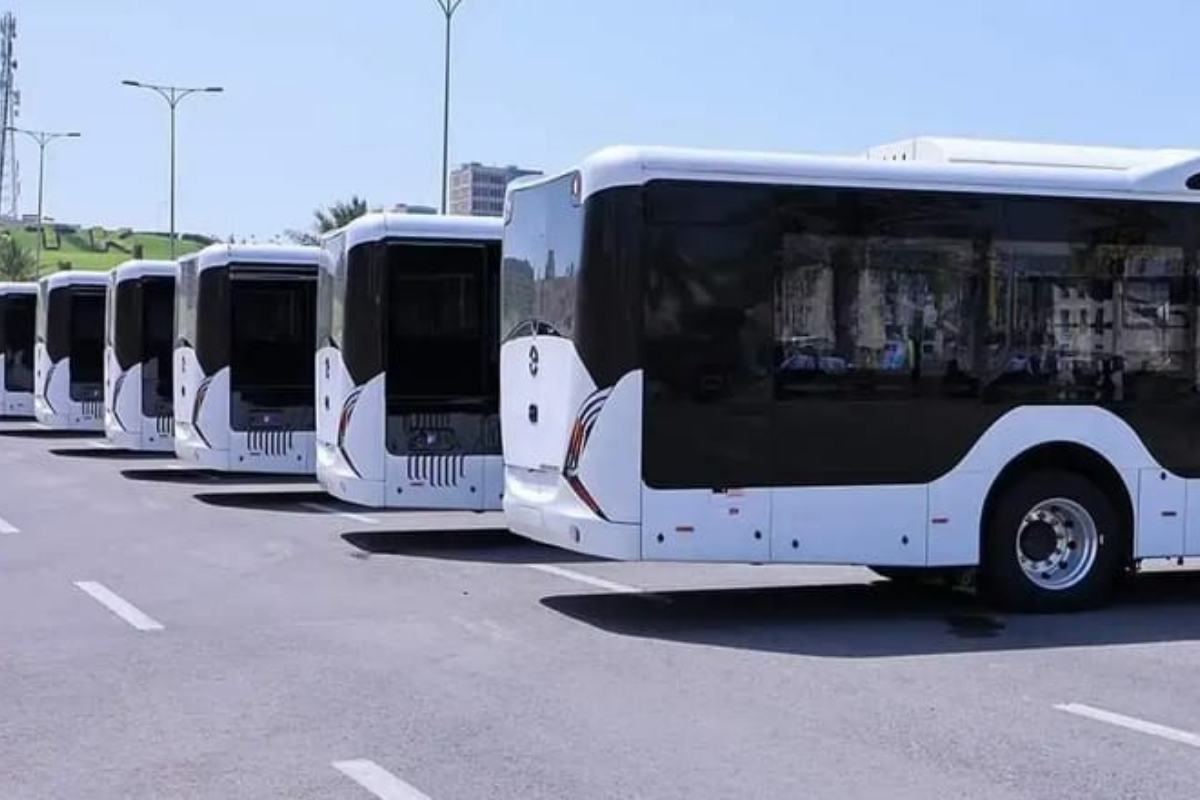 electric buses
