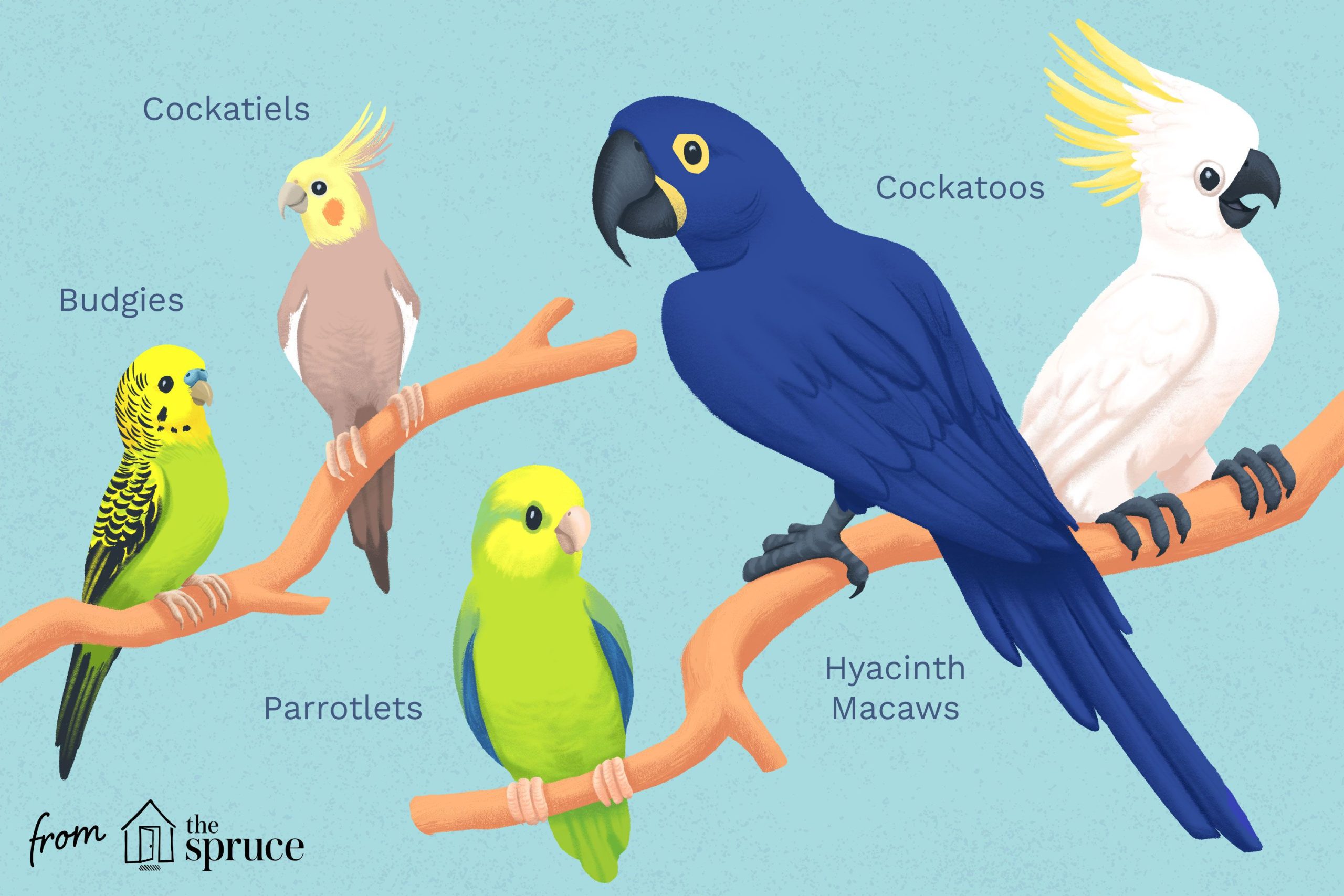 Flock of endangered birds migrating over shrinking wetlands, climate impact graphic overlay, October 2025.