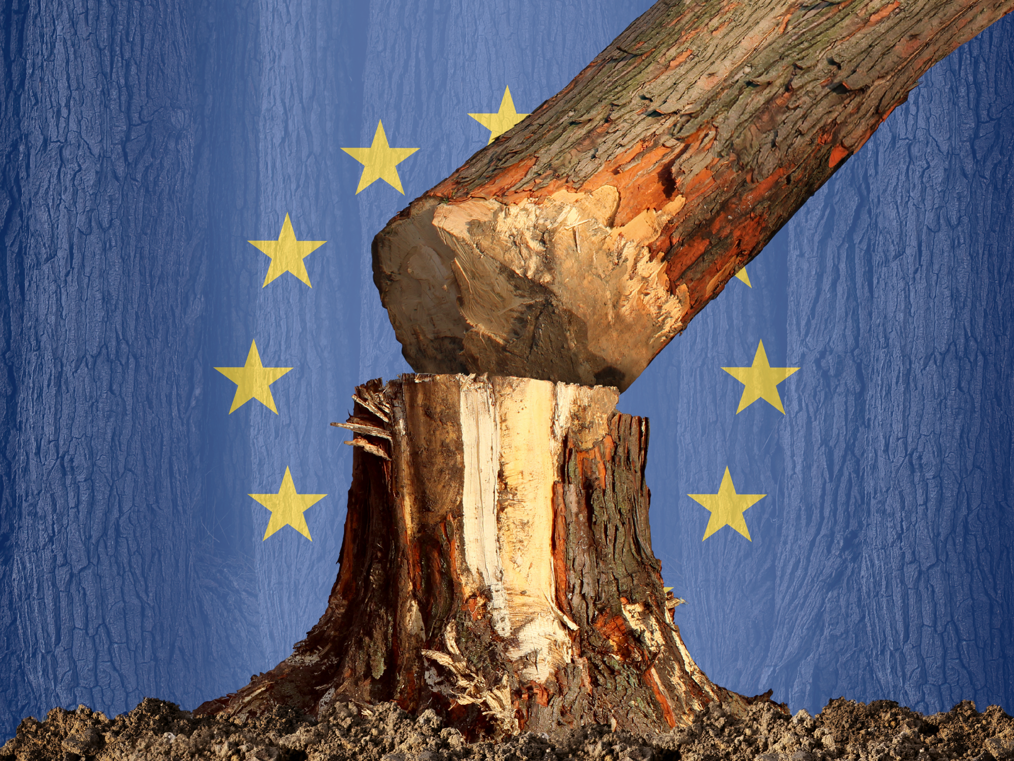 Aerial deforestation in Amazon rainforest, EU flag and stalled law documents, October 2025 urgency