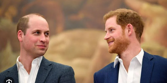 prince william harry, royal feud update, harry charity admiration, diana brothers reconciliation, kate merciful attitude