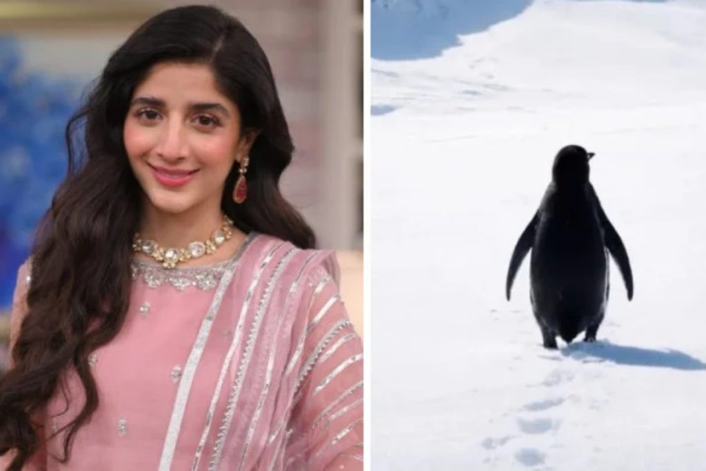Mawra Hocane