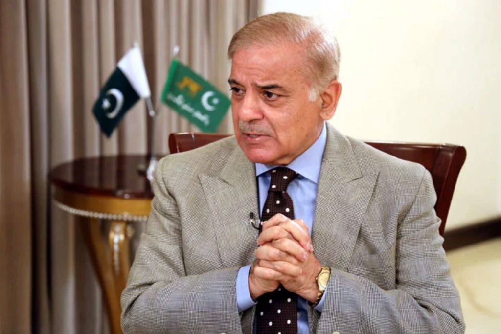 PM Shehbaz directs