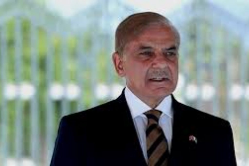 PM Shahbaz orders