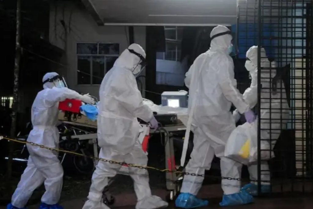 Nipah virus