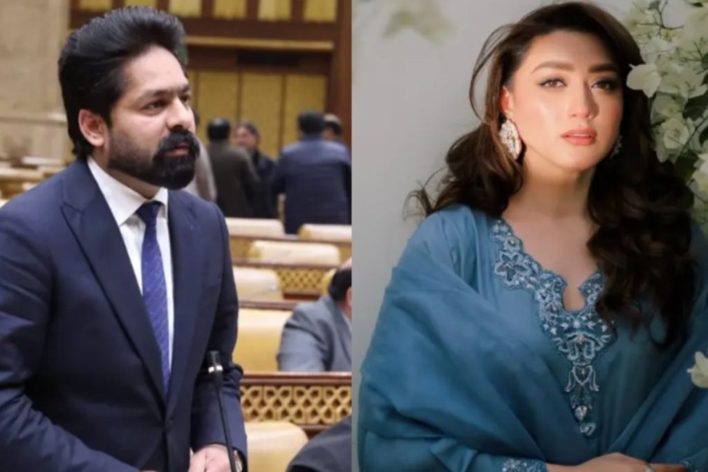 Punjab MPA