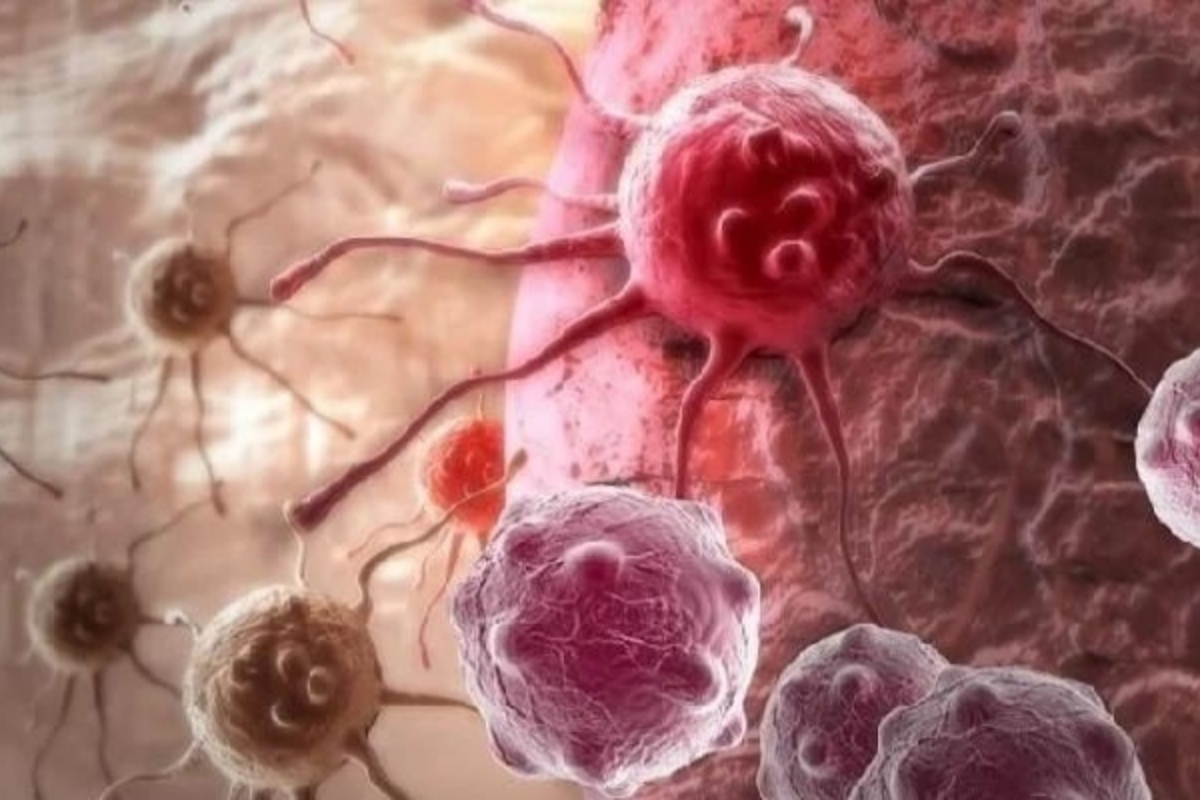 Faster biological